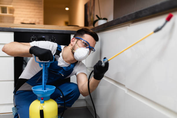 Best Bed Bug Extermination  in Sarasota, FL