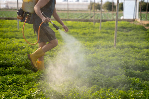 Best Best Pest Control Near Me  in Sarasota, FL