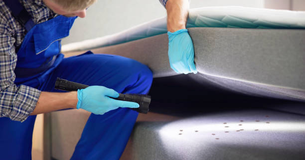 Best Commercial Pest Control Services  in Sarasota, FL