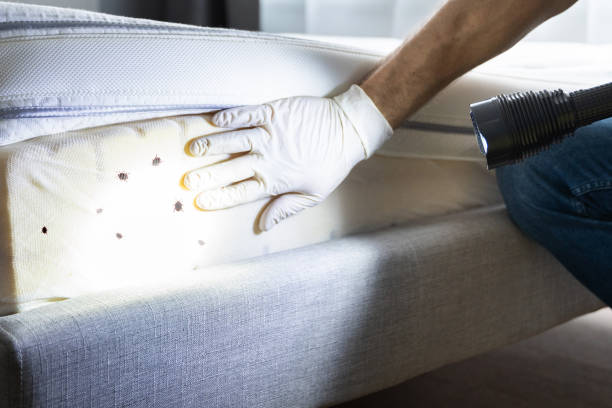 Best Cockroach Control Services  in Sarasota, FL