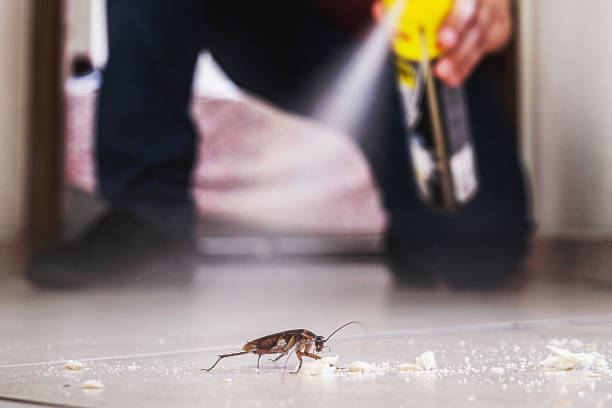 Trusted Sarasota, FL Pest Control Experts