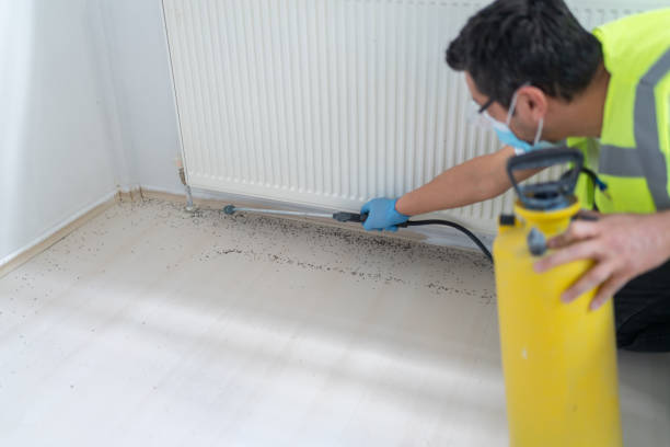Best Commercial Pest Control Services  in Sarasota, FL