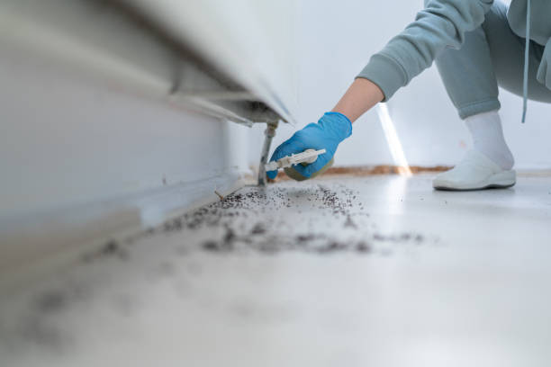 Pest Control Cost in Sarasota, FL